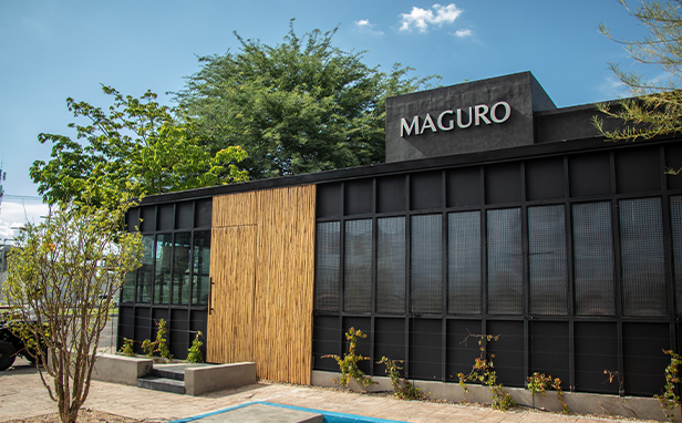 maguro-seccion-proyectos
